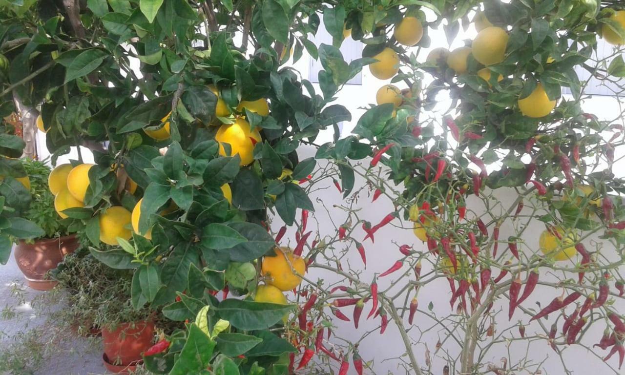 Apartament Matilda Milos - Cycladic Living Triovasálos Zewnętrze zdjęcie